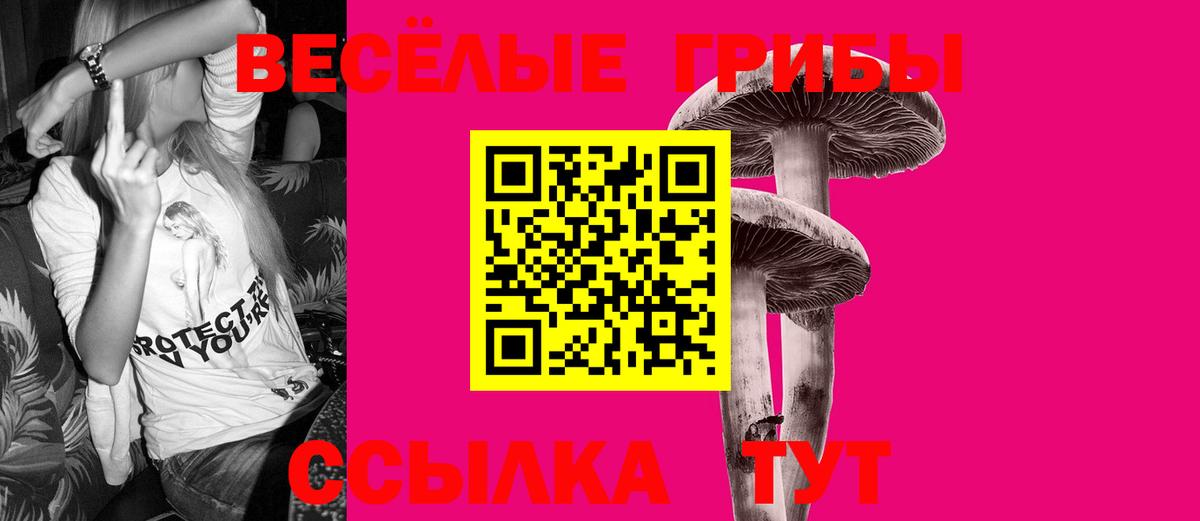 Саянск  Галлюциногенные грибы мухоморы  Вход с VPN 